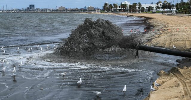 A Praia de St Kilda apresenta água preta, sujeira, lixo e cheiros devido à dragagem na entrada da Marina de St Kilda. 12 de novembro de 2025, The Age news Foto de JOE ARMAO