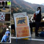 Aldeia turística japonesa luta para manter os ursos afastados