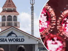 Alerta como doença altamente infecciosa detectada em concertos, atrações turísticas Sea World na Gold Coast em Queensland, onde um caso confirmado de sarampo participou do evento Spooky Nights em outubro de 2025.