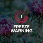 Alerta de congelamento emitido para a área de Oklahoma City: veja alertas meteorológicos