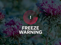 Alerta de congelamento emitido para a área de Oklahoma City: veja alertas meteorológicos Alerta de congelamento emitido para a área de Oklahoma City: veja alertas meteorológicos