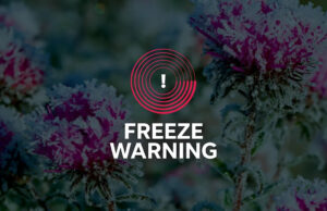 Alerta de congelamento emitido para a área de Oklahoma City: veja alertas meteorológicos Alerta de congelamento emitido para a área de Oklahoma City: veja alertas meteorológicos