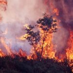 Previsão do tempo de verão de longo prazo do Bureau of Meteorology.