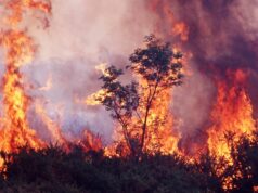 Alertas terríveis são emitidos enquanto a Austrália se prepara para um verão sufocante Previsão do tempo de verão de longo prazo do Bureau of Meteorology.