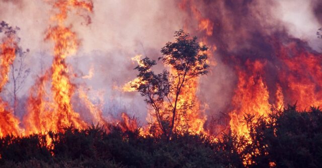 Previsão do tempo de verão de longo prazo do Bureau of Meteorology.
