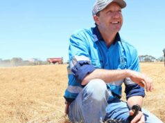 Amor por leguminosas: os primeiros a adotar resolvem os problemas no cultivo de lentilhas Amor por leguminosas: os primeiros a adotar resolvem os problemas no cultivo de lentilhas