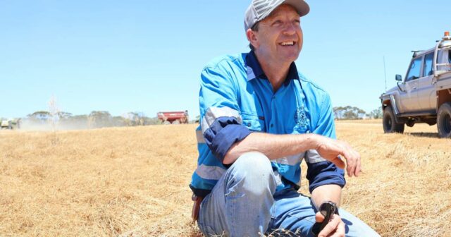 Amor por leguminosas: os primeiros a adotar resolvem os problemas no cultivo de lentilhas
