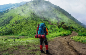 Andaman sediará o ‘Island Trekking Festival’ para impulsionar o ecoturismo Andaman sediará o 'Island Trekking Festival' para impulsionar o ecoturismo