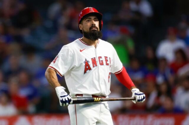 Anthony Rendon se aproxima da compra dos Angels após desastre Um batedor do Los Angeles Angels, usando capacete vermelho e uniforme branco, segura um taco.