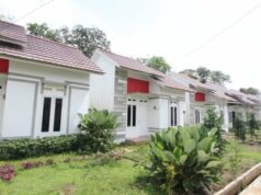 Apenas 13,3 por cento dos empréstimos habitacionais do FLPP foram absorvidos por trabalhadores não formais Apenas 13,3 por cento dos empréstimos habitacionais do FLPP foram absorvidos por trabalhadores não formais