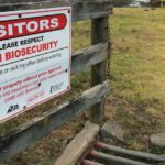 Aplicação “inconsistente” do DAFF expondo a agricultura a riscos crescentes de biossegurança: auditoria