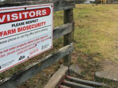 Aplicação “inconsistente” do DAFF expondo a agricultura a riscos crescentes de biossegurança: auditoria Aplicação “inconsistente” do DAFF expondo a agricultura a riscos crescentes de biossegurança: auditoria
