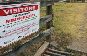 Aplicação “inconsistente” do DAFF expondo a agricultura a riscos crescentes de biossegurança: auditoria Aplicação “inconsistente” do DAFF expondo a agricultura a riscos crescentes de biossegurança: auditoria
