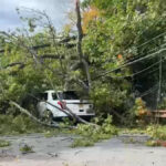 Árvores derrubadas criam doces ou travessuras perigosas no Halloween