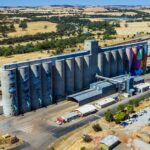 As receitas de CBH ultrapassam um milhão de toneladas, apesar das proibições de colheita, chuva e granizo