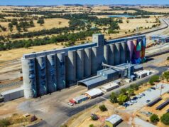 As receitas de CBH ultrapassam um milhão de toneladas, apesar das proibições de colheita, chuva e granizo As receitas de CBH ultrapassam um milhão de toneladas, apesar das proibições de colheita, chuva e granizo