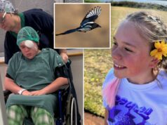 Ataque de pássaro deixa menina de 12 anos lutando para salvar a visão: ‘Direto no olho’ Ataque de pássaro deixa menina de 12 anos lutando para salvar a visão: ‘Direto no olho’