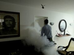 Autoridades cubanas combatem onda de doenças transmitidas por mosquitos Autoridades cubanas combatem onda de doenças transmitidas por mosquitos
