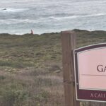 Várias agências de segurança pública estão vasculhando a área da Praia Estadual de Garrapata em busca de uma criança de 5 anos que foi arrastada para o oceano na tarde de sexta-feira. (Cortesia do Gabinete do Xerife do Condado de Monterey)