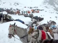 Avalanche no Nepal mata 7 alpinistas no Monte Yalung Ri Avalanche no Nepal mata 7 alpinistas no Monte Yalung Ri
