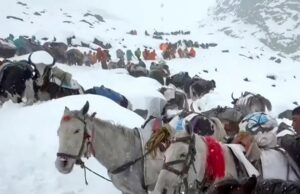 Avalanche no Nepal mata 7 alpinistas no Monte Yalung Ri Avalanche no Nepal mata 7 alpinistas no Monte Yalung Ri
