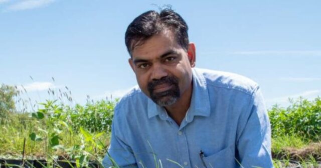 Avanço vê aumentos de rendimento de 27% em áreas infestadas com ervas daninhas problemáticas
