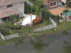 Avião com destino à Jamaica com suprimentos humanitários cai O avião caiu em um lago em um bairro residencial de Fort Lauderdale, Flórida.