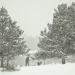 Avisos de clima de inverno com 18 polegadas de neve para atingir