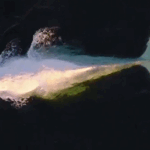 Uma rara baleia jubarte branca foi avistada desafiando os hábitos de migração na costa sul de NSW.