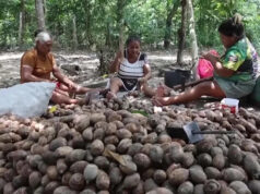 Brasil vai explodir canal no rio Amazonas para aumentar o transporte marítimo Yahoo news home