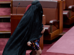 ‘Busca desavergonhada de atenção’: políticos atacam a façanha da burca de Pauline Hanson 'Busca desavergonhada de atenção': políticos atacam a façanha da burca de Pauline Hanson