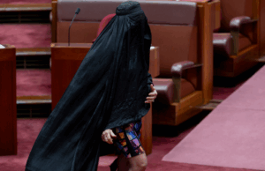 ‘Busca desavergonhada de atenção’: políticos atacam a façanha da burca de Pauline Hanson 'Busca desavergonhada de atenção': políticos atacam a façanha da burca de Pauline Hanson