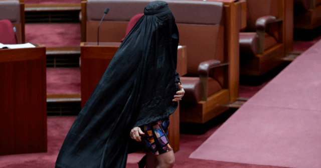 'Busca desavergonhada de atenção': políticos atacam a façanha da burca de Pauline Hanson
