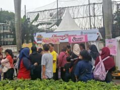 CFD está ficando mais colorido: esportes ao mesmo tempo em que oferecem educação halal e entretenimento familiar CFD está ficando mais colorido: esportes ao mesmo tempo em que oferecem educação halal e entretenimento familiar