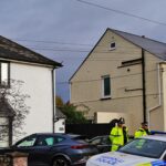 Bebê morto após ataque de cachorro no País de Gales Getty 1