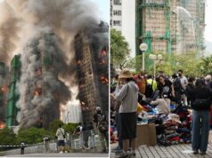 Cachorro salva aposentado de morrer por pouco em incêndio violento em Hong Kong que deixou pelo menos 128 mortos Cachorro salva aposentado de morrer por pouco em incêndio violento em Hong Kong que deixou pelo menos 128 mortos