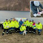 Dois homens em terreno gramado examinam a barriga de um cachorro preto e branco deitado de costas.