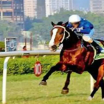 Campeonato de treinadores rumo ao fim geral