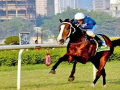 Campeonato de treinadores rumo ao fim geral Campeonato de treinadores rumo ao fim geral