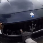 Carros de luxo usando placas de motocicleta e impostos mortos tentam subornar a polícia, os internautas não conseguem se concentrar