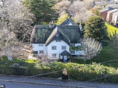 Casa de conto de fadas que inspirou Cachinhos Dourados e os Três Ursos sob ameaça em meio a planos para uma fazenda solar ‘horrenda’ de 100.000 painéis Burton Cottage (foto), nos limites da Floresta Negra, já foi a casa do poeta Robert Southey