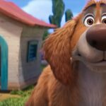 'Charlie the Wonderdog' estreia primeiro trailer com Owen Wilson dando voz ao melhor amigo do homem - Resumo das notícias do filme