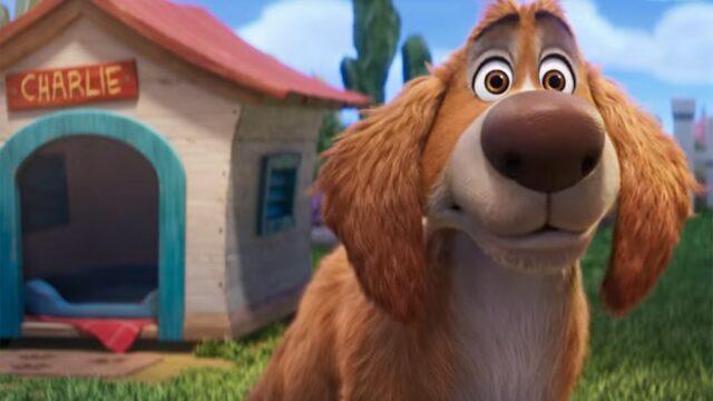 'Charlie the Wonderdog' estreia primeiro trailer com Owen Wilson dando voz ao melhor amigo do homem - Resumo das notícias do filme
