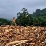 Chefe do BNPB afirma que 2 aldeias em Tapsel foram gravemente danificadas: grandes casas entrando em madeira