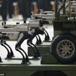 ‘Lobos robôs’ estão sendo desenvolvidos na China com o objetivo de substituir soldados humanos para reduzir baixas em combate