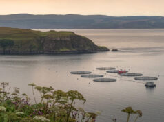 Cientistas emitem alerta após criaturas escaparem da contenção durante uma grande tempestade: ‘Grandes mudanças genéticas’ Yahoo news home