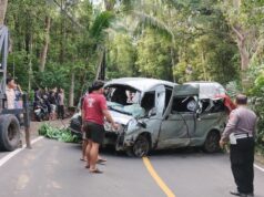 Cinco turistas mortos em acidente de microônibus em Bali Cinco turistas mortos em acidente de microônibus em Bali