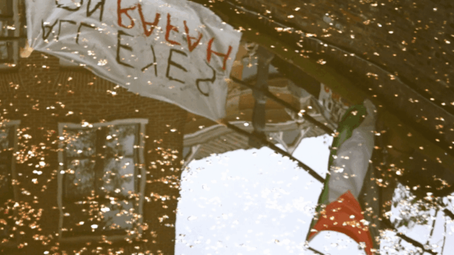 Cineastas por trás das aberturas do IDFA falam sobre o papel do curta-metragem em tempos de agitação sociopolítica: 'A arte nunca tem a ver com comprimento'
