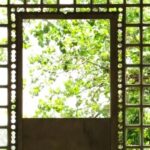 'Comedians in Bars', 'Dispatch' lideram a nova lista de não-ficção da Avani Films (EXCLUSIVO)