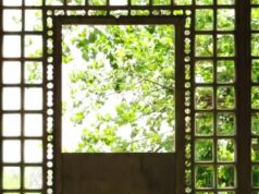 ‘Comedians in Bars’, ‘Dispatch’ lideram a nova lista de não-ficção da Avani Films (EXCLUSIVO) 'Comedians in Bars', 'Dispatch' lideram a nova lista de não-ficção da Avani Films (EXCLUSIVO)